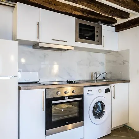 Typical Parisian Flat In Le Marais Daire *
